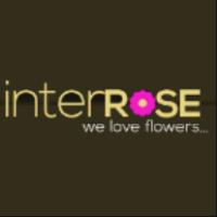 InterRose Discount Codes