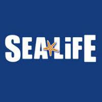 sealife