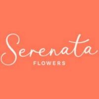 serenata flowers
